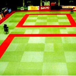 標(biāo)準(zhǔn)柔道墊子